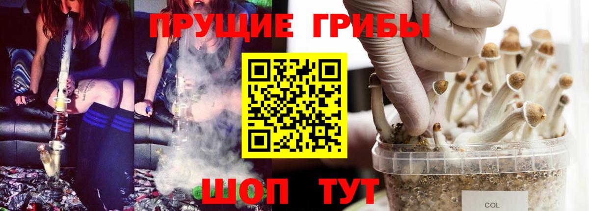что такое   Галлюциногенные грибы прущие грибы  Вход с VPN  Кириши 